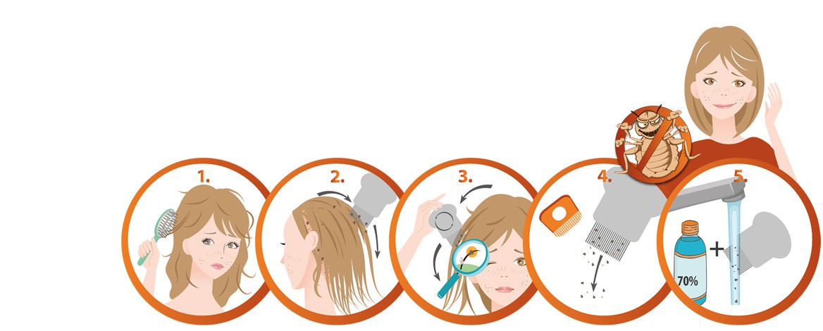 Lausinator – Head Lice Comb